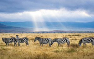 Unsere Safari-Reise in Tansania war das Abenteuer unseres Lebens